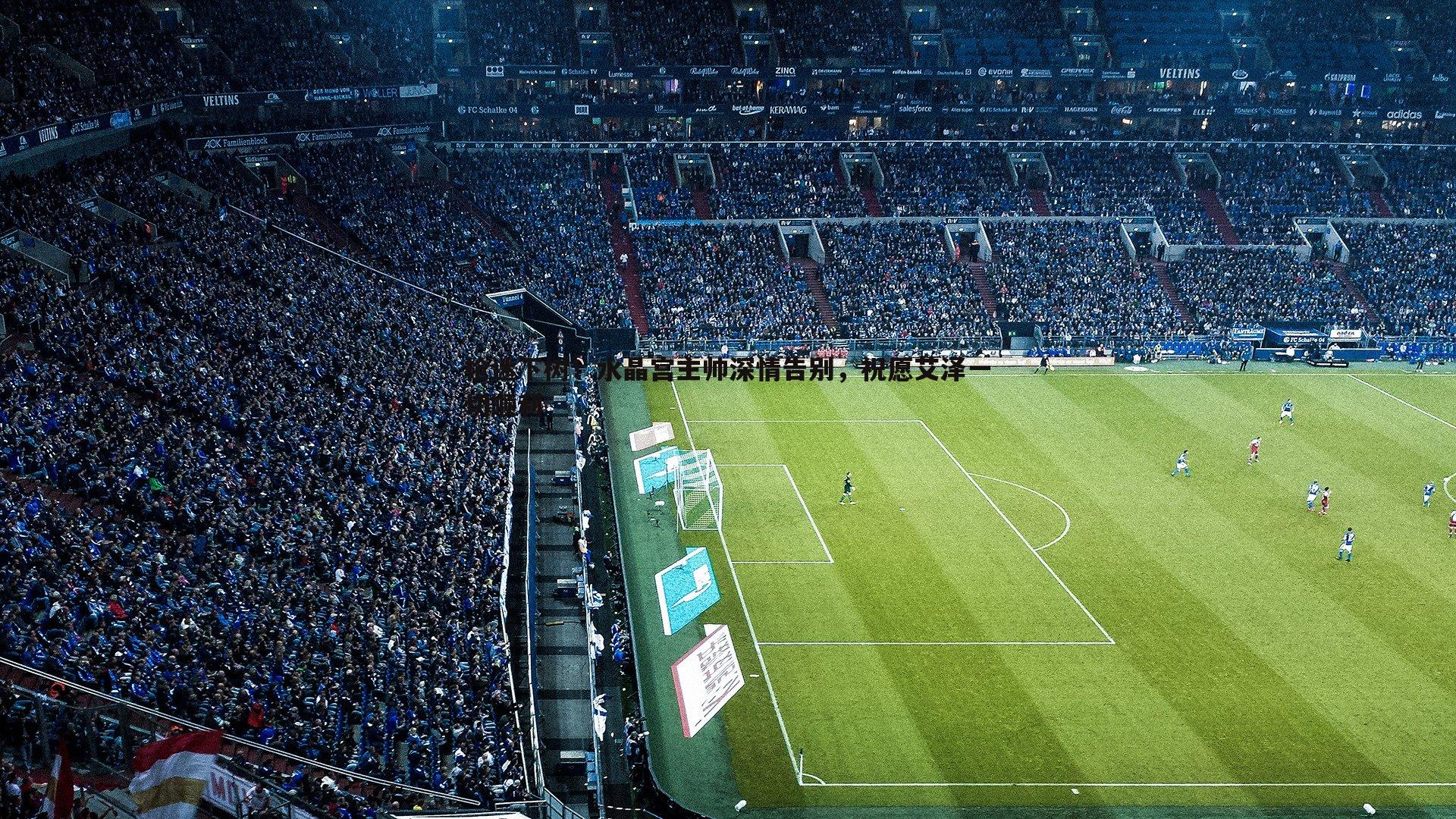 枪迷下树!水晶宫主帅深情告别,祝愿艾泽一切顺利