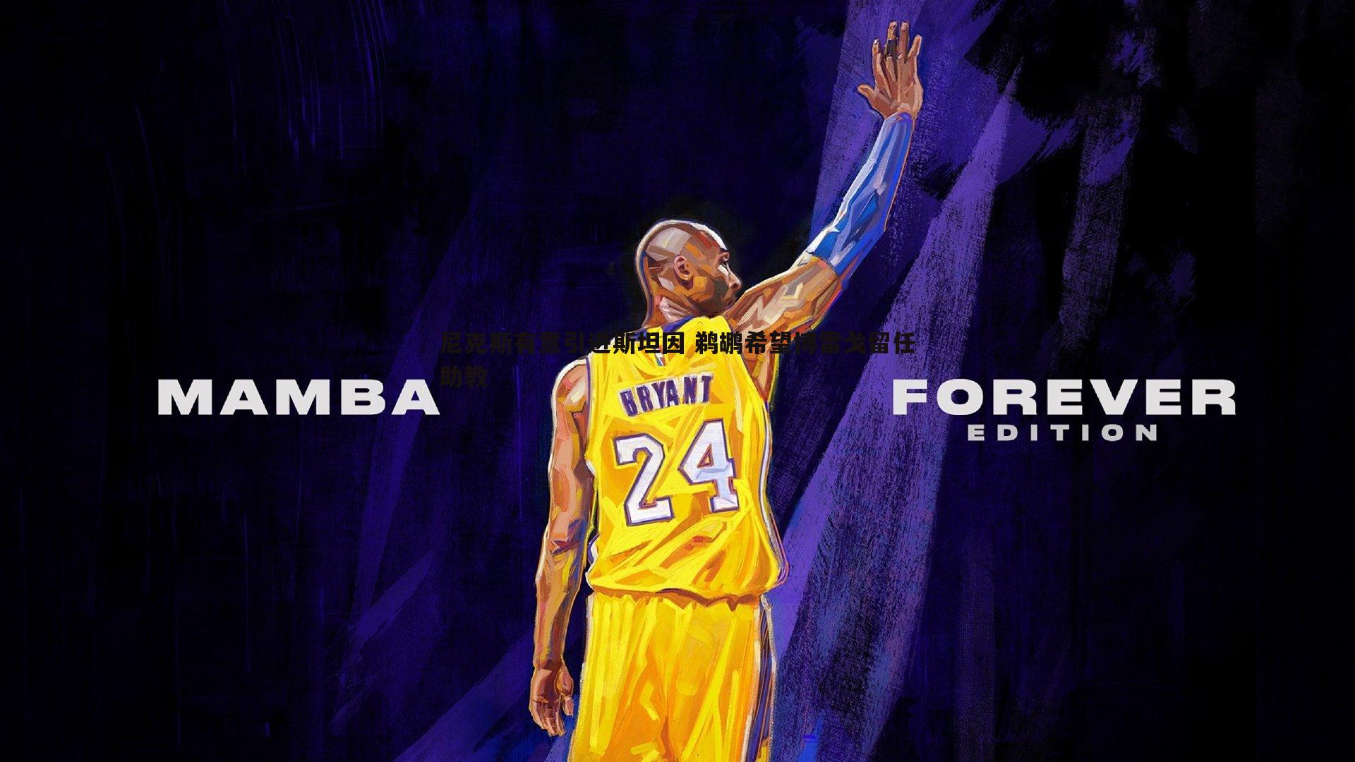 尼克斯有意引进斯坦因 鹈鹕希望博雷戈留任助教