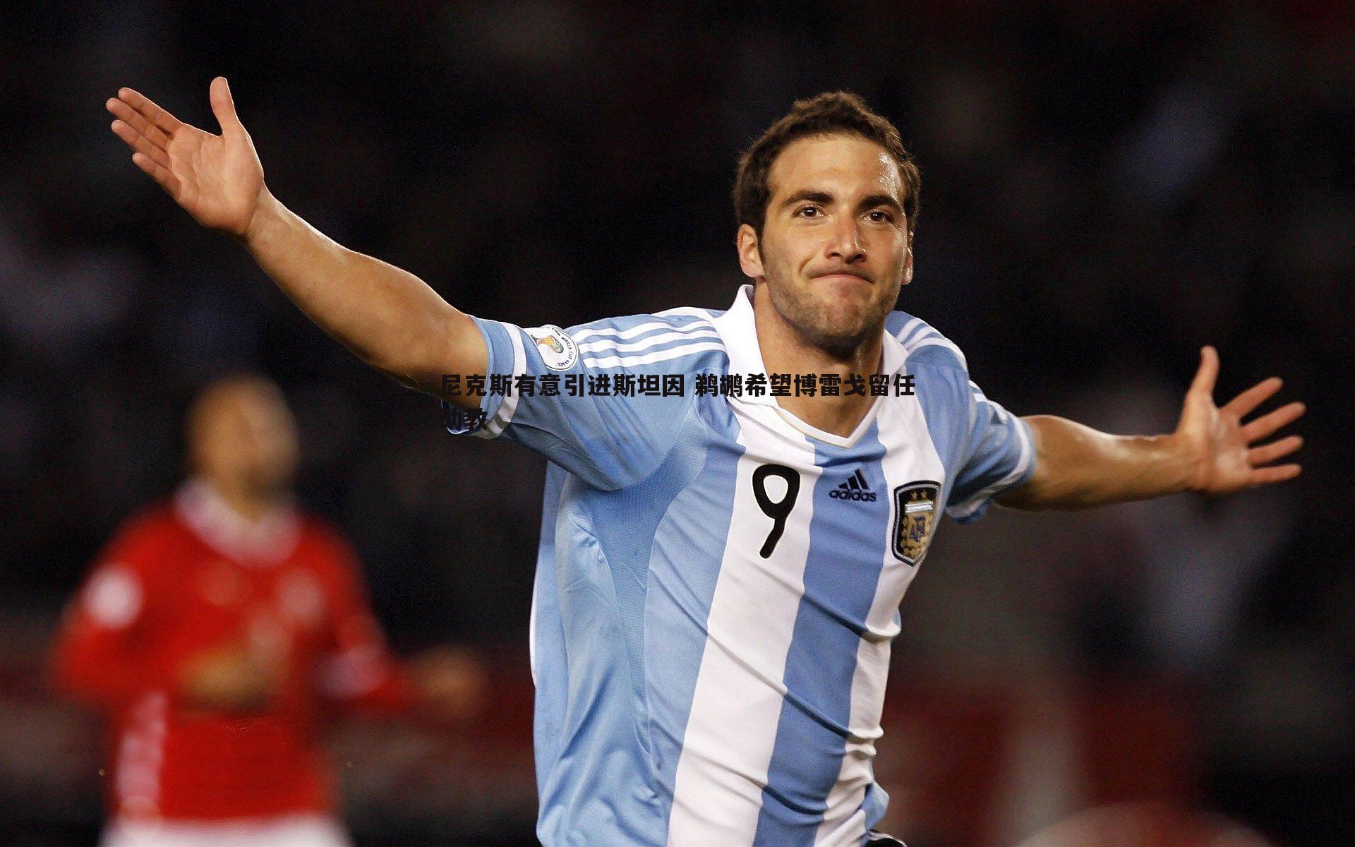 尼克斯有意引进斯坦因 鹈鹕希望博雷戈留任助教